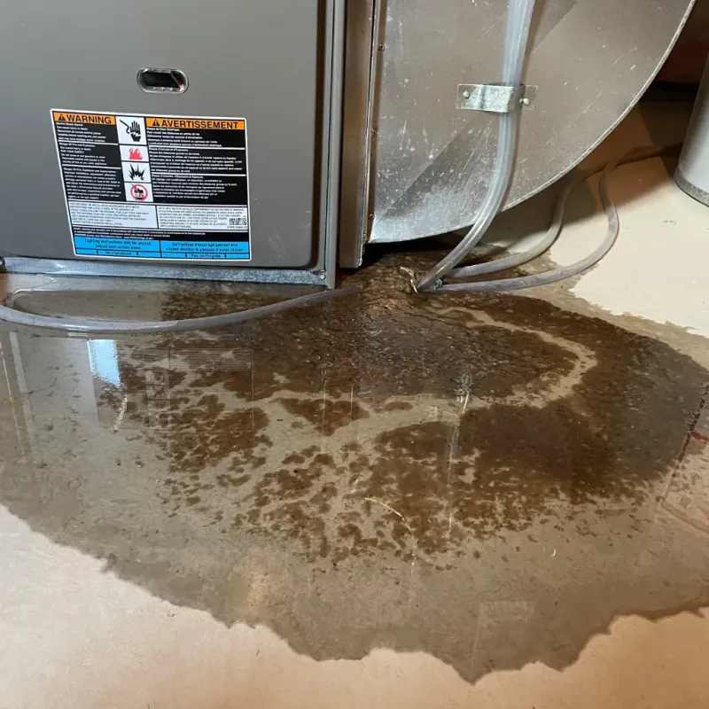 Appliance Leak Cleanup in Waverly, MN